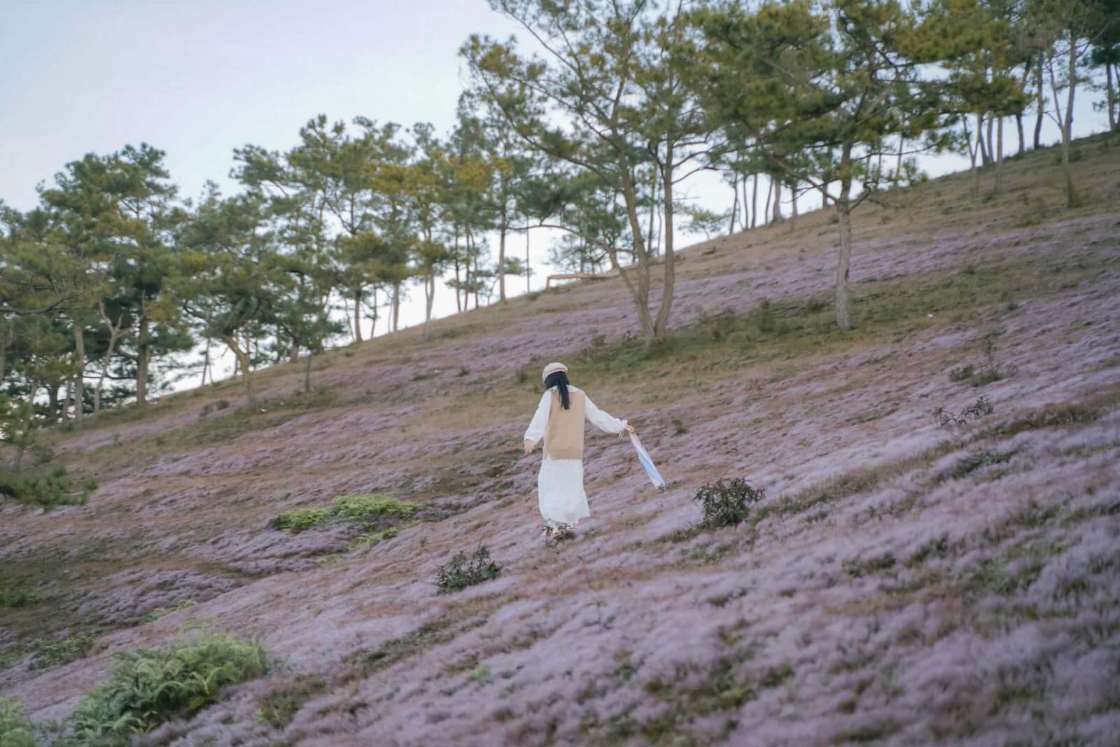 Ảnh đại diện bài Trọn gói chi phí du lịch Đà Lạt tự túc cực chi tiết