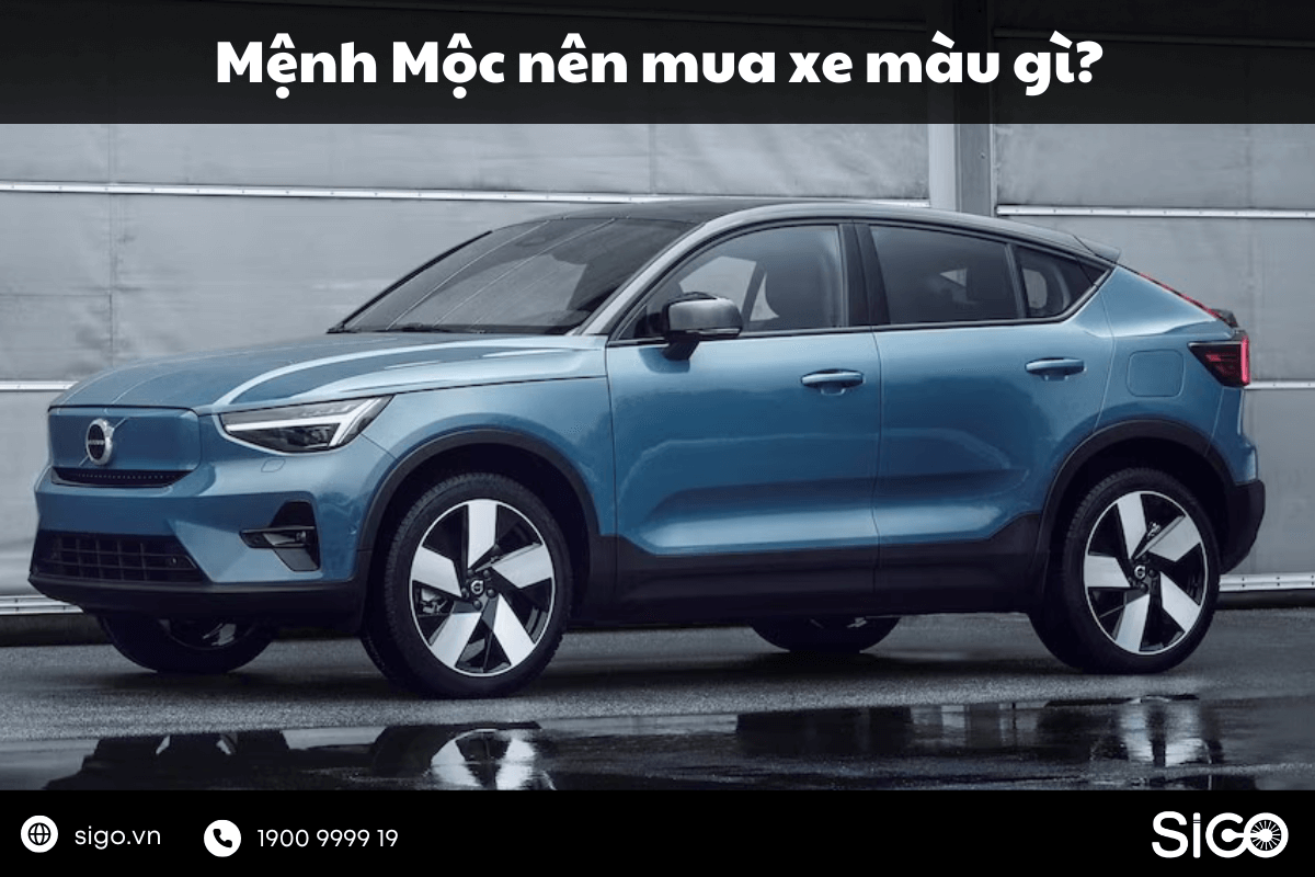 Ảnh đại diện bài Mệnh Mộc nên mua xe màu gì? Gợi ý chọn xe chuẩn phong thủy giúp làm ăn thuận lợi