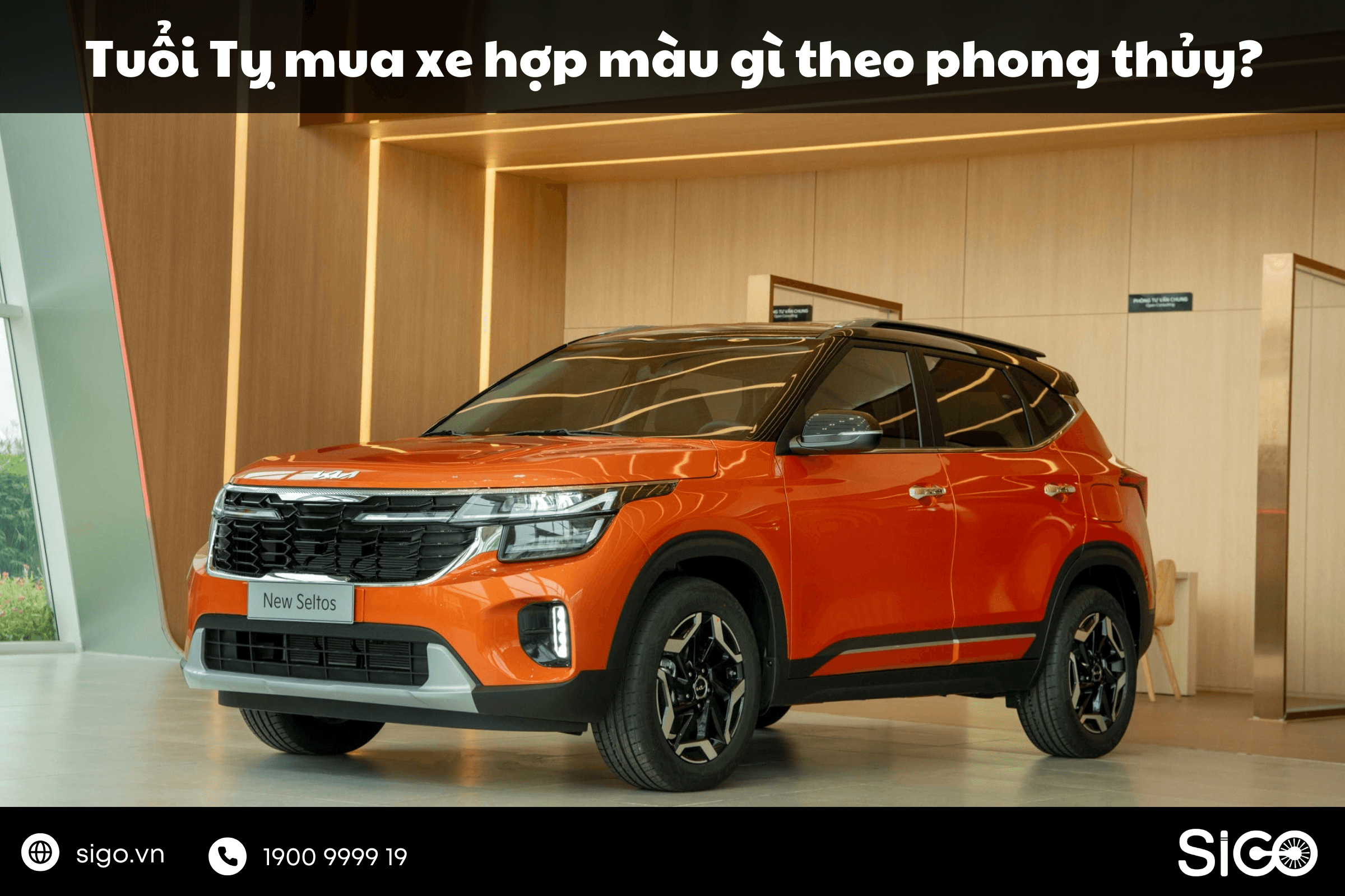 Ảnh đại diện bài Giải đáp: Tuổi Tỵ mua xe hợp màu gì theo phong thủy ngũ hành?