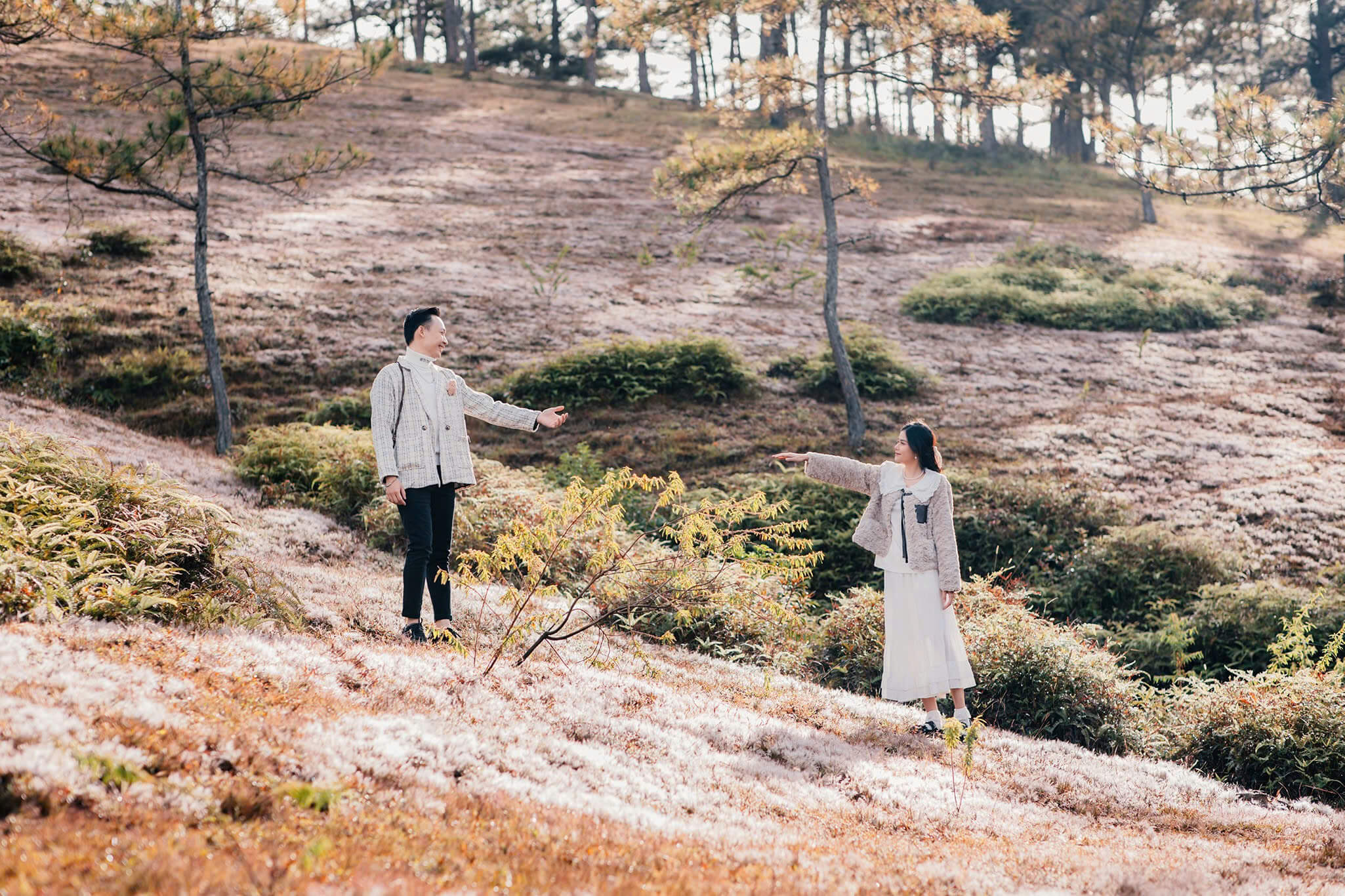 Ảnh đại diện bài Du lịch Đà Lạt 3 ngày 2 đêm: Lịch trình siêu chi tiết dành cho newbie