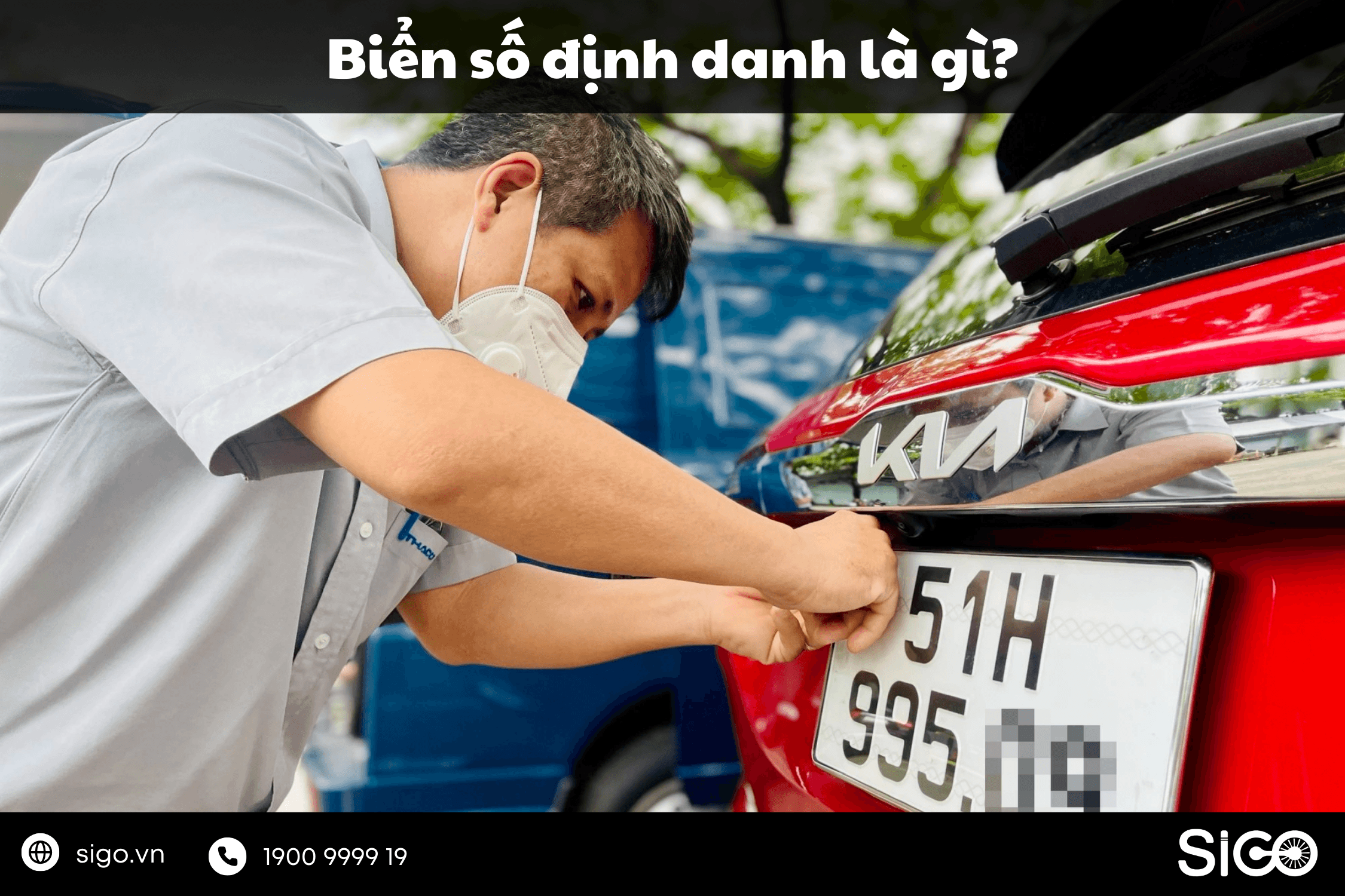 Ảnh đại diện bài Biển số định danh là gì? Quy định mới và những điều cần biết