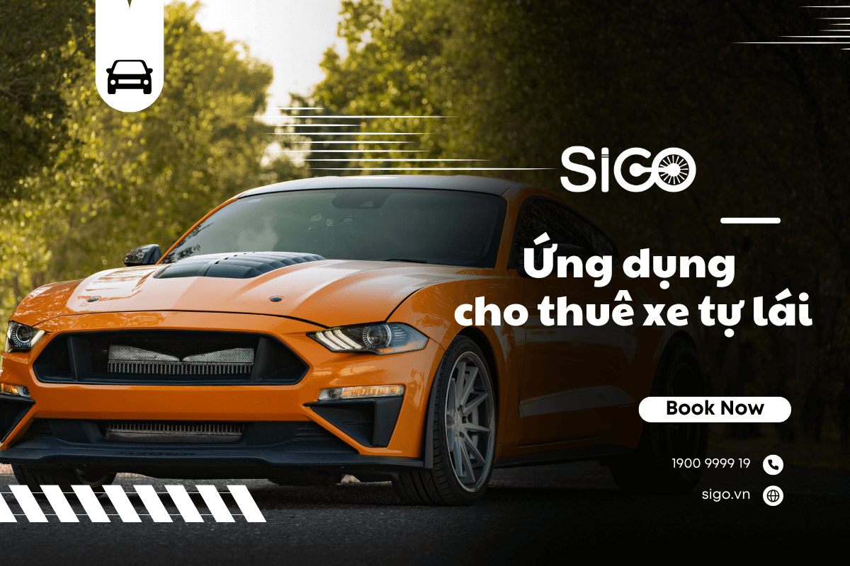Ảnh đại diện bài 8 kinh nghiệm thuê xe tự lái giúp bạn tiết kiệm thời gian và chi phí 