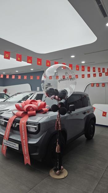 Vinfast VF3 Plus 2025-5