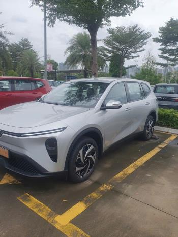 Vinfast Limo Green 2025-1