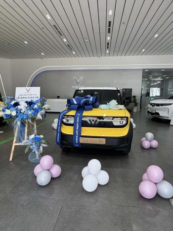 Vinfast VF3 Plus 2025-3