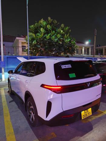 Vinfast Limo Green 2025-2