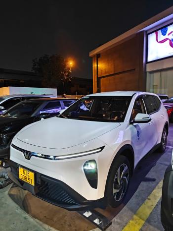 Vinfast Limo Green 2025-1