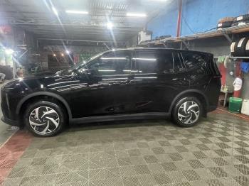 Vinfast Limo Green 2025-3