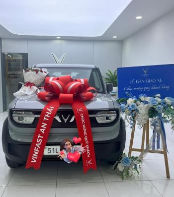 Vinfast VF3 Eco 2025-1