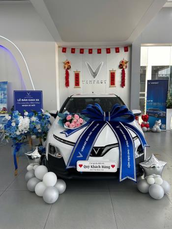 Vinfast VF5 Plus 2025-0