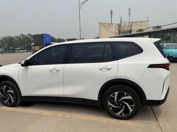 Vinfast Limo Green 2025-2