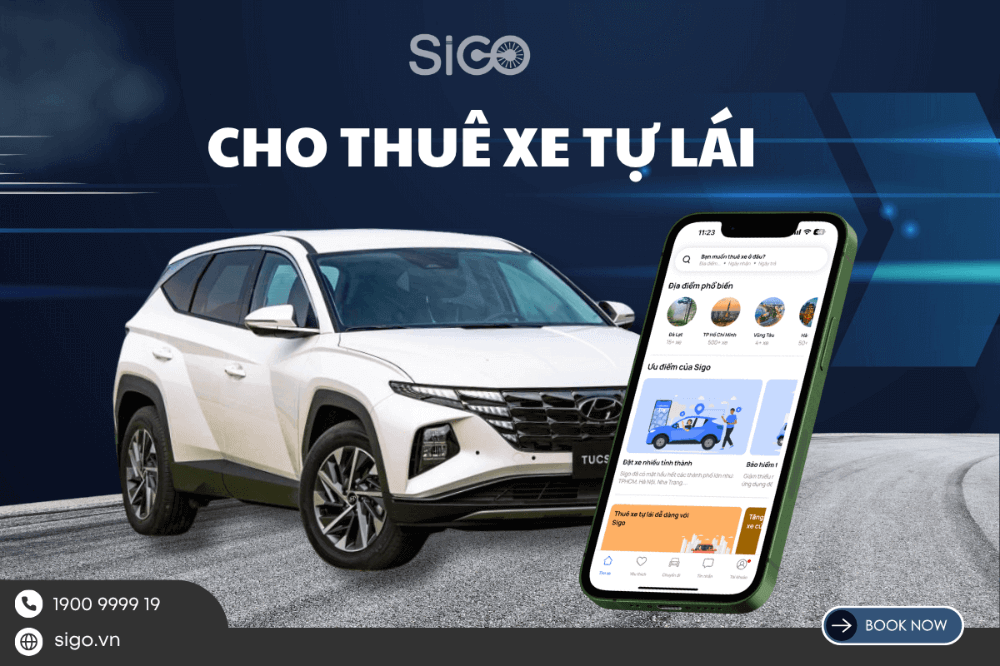 Sigo cung cấp dịch vụ cho thuê xe chất lượng, giá tốt