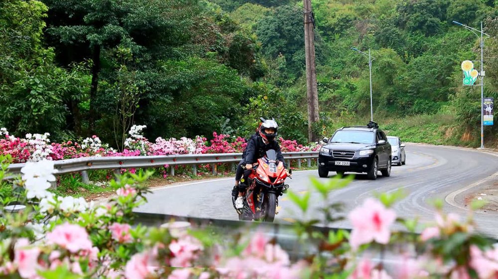 Phương tiện để đi du lịch Tam Đảo