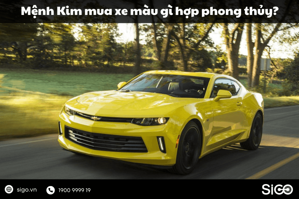 Mệnh Kim mua xe màu gì là thắc mắc của nhiều người