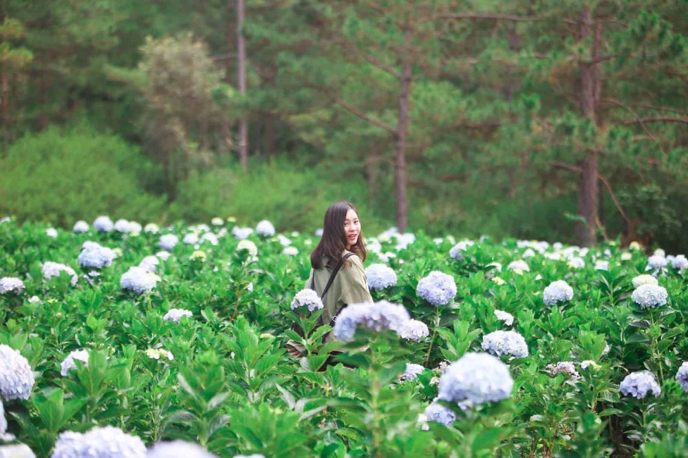 Chi phí tham quan tại Đà Lạt