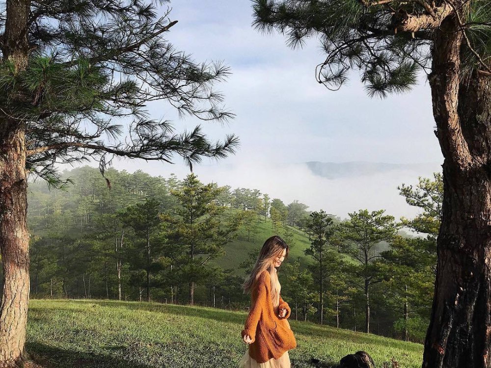 Những bí quyết giúp bạn đi du lịch Đà Lạt tiết kiệm mà vẫn vui