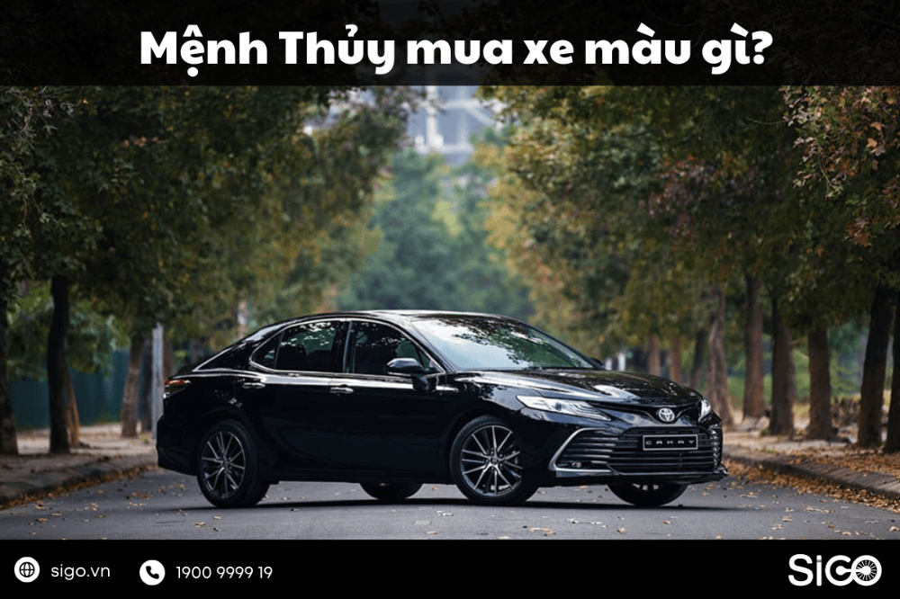 Mệnh Thủy mua xe màu gì để hút tài lộc, bình an?