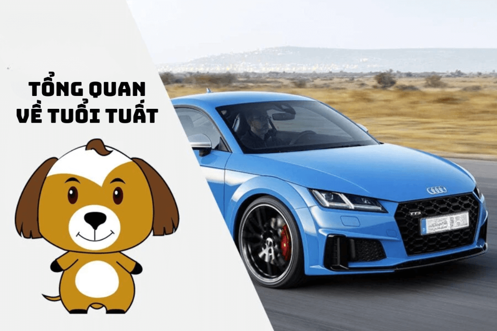 Tổng quan về tuổi Tuất trong phong thuỷ