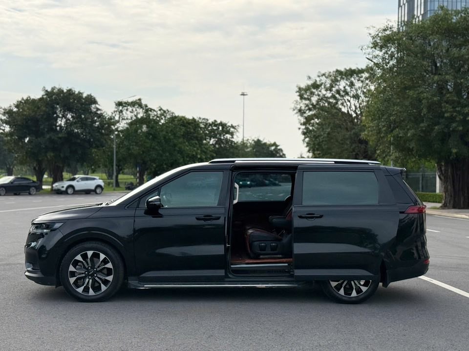 Màu xe hợp với tuổi Tuất mệnh Mộc