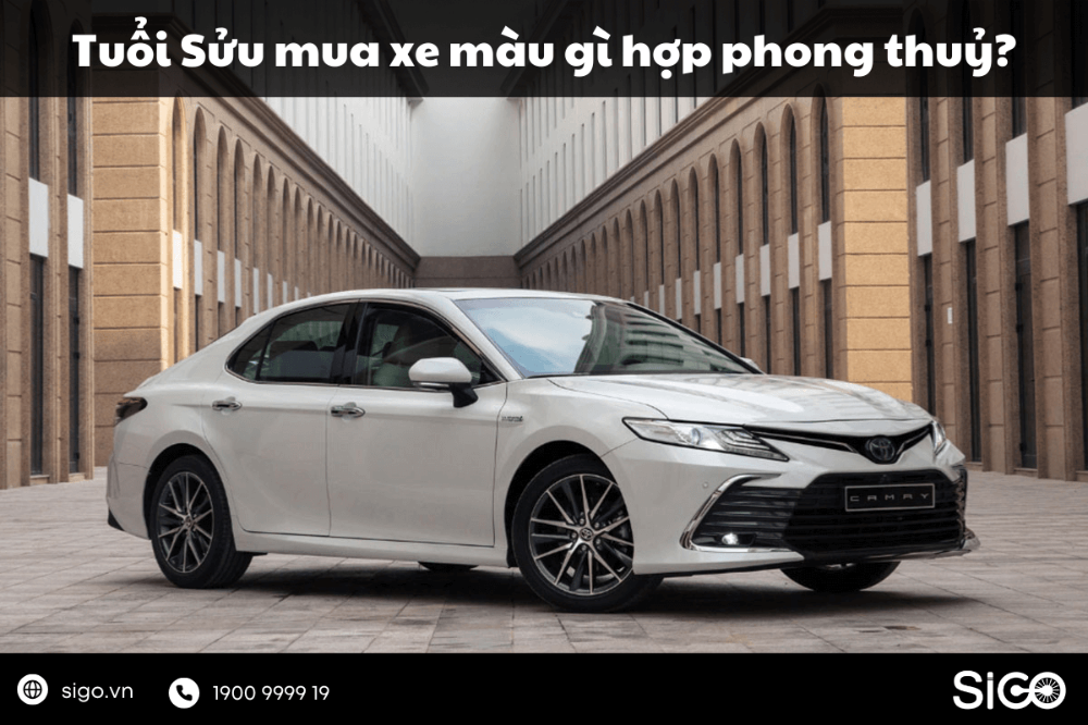 Tìm hiểu tuổi Sửu mua xe màu gì để hợp phong thủy