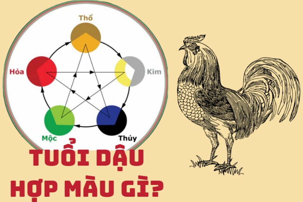Nắm vững nguyên tắc chọn màu theo ngũ hành