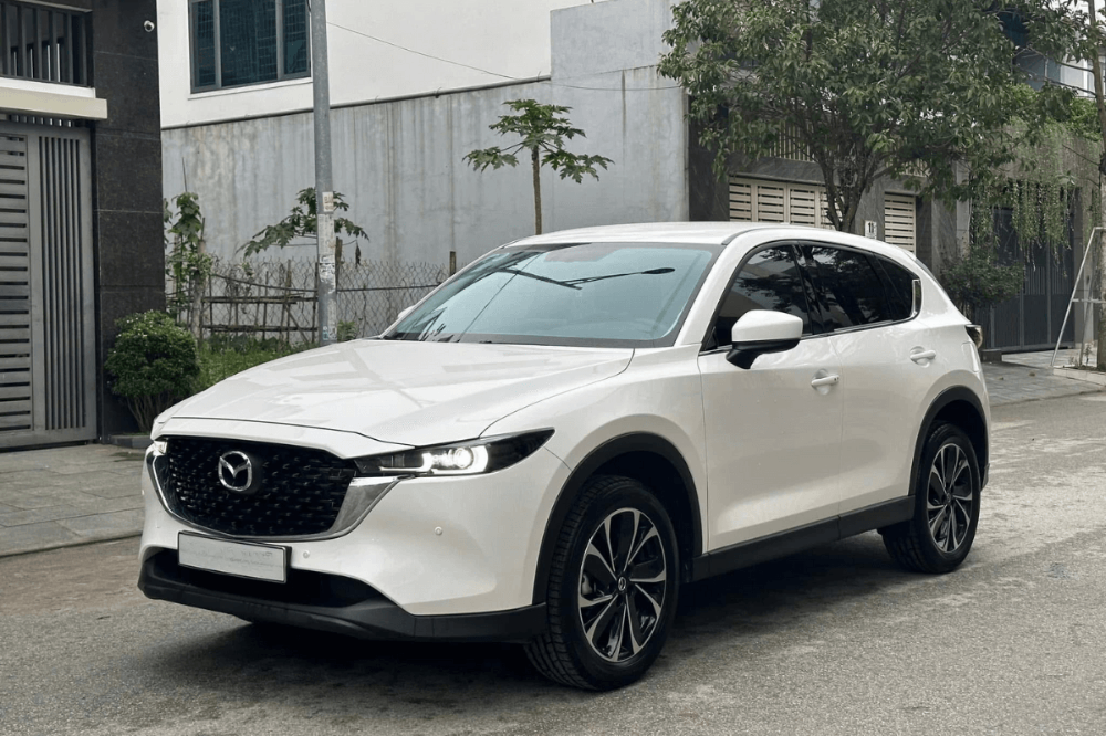 Những kinh nghiệm giúp bạn thuê xe an toàn và tiết kiệm