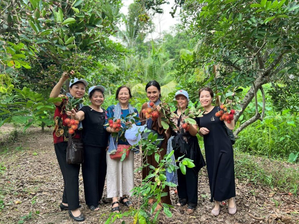 Cùng gia đình đi tour miệt vườn miền tây