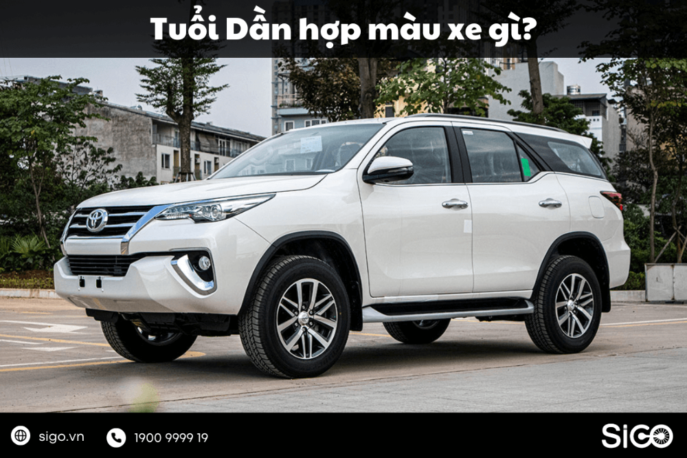 Tìm hiểu tuổi Dần hợp xe màu gì?