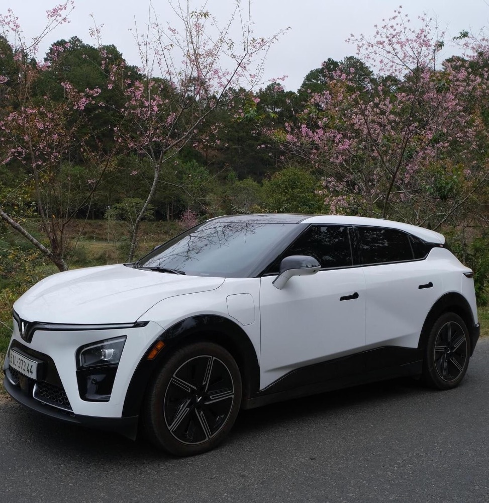 Những màu xe phù hợp với tuổi Giáp Dần