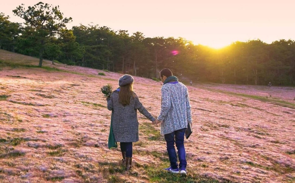 Đà Lạt là điểm đến mà nhiều người lựa chọn