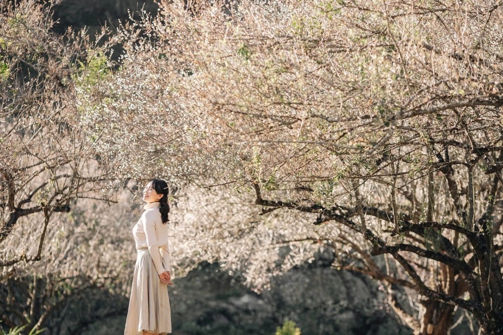 10 địa điểm du lịch Mộc Châu đẹp ngẩn ngơ