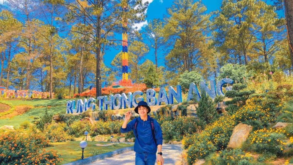 Rừng thông Bản Áng với khung cảnh vô cùng bình yên