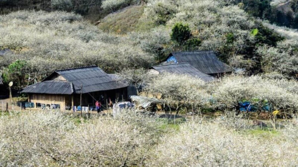 Nhiều du khách đến bản Pa Phách để khám phá văn hoá người Mông