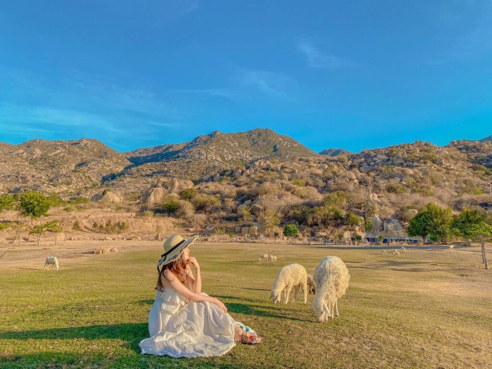 Có thể di chuyển đến Ninh Thuận bằng nhiều phương tiện khác nhau