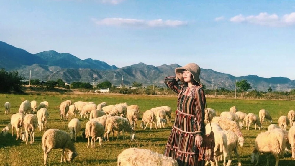 Đồng cừu An Hoà là lựa chọn của những tín đồ “sống ảo”