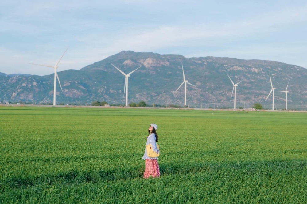 Cánh đồng điện gió Đầm Nại lên hình cực đẹp