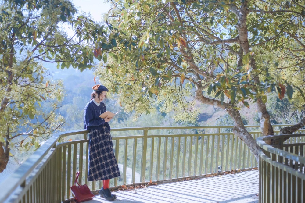 Những lưu ý khi đi Đà Lạt qua các mùa