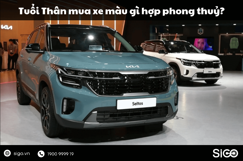 Tìm hiểu tuổi Thân mua xe màu gì để hợp phong thuỷ