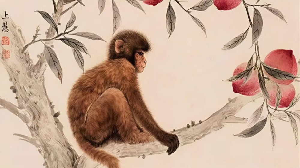 Đặc điểm chung của người tuổi Thân