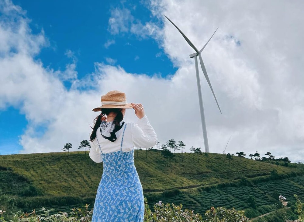 Bỏ túi những kinh nghiệm hữu ích khi đi Đà Lạt lần đầu