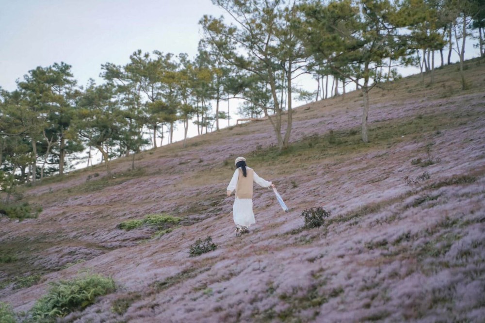 Một vài lưu ý nhỏ giúp chuyến đi trọn vẹn hơn