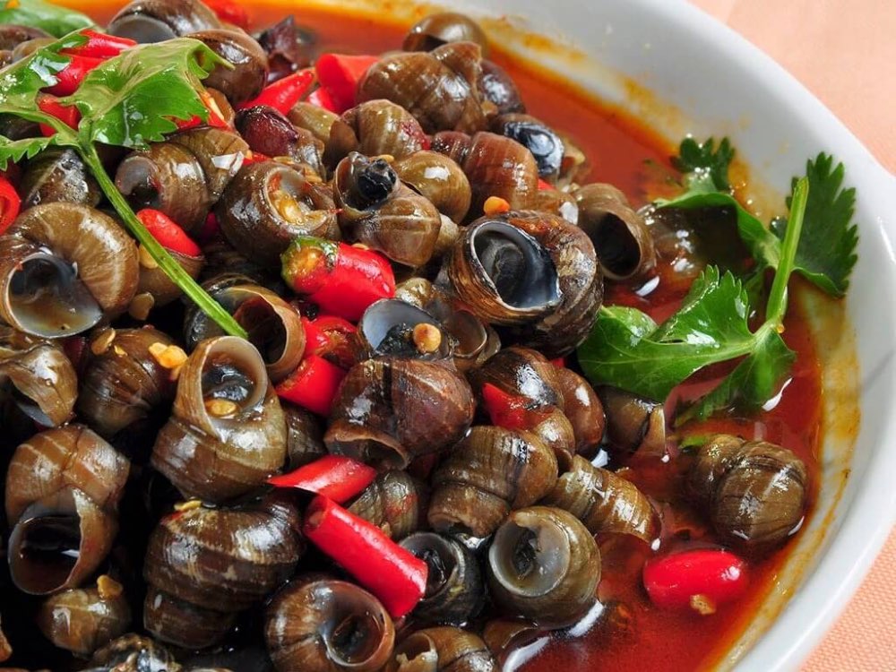 Ốc hút được chế biến thơm ngon chỉ muốn ăn mãi