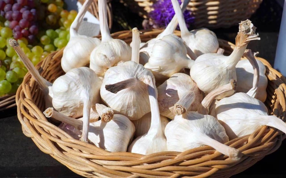 Tỏi Lý Sơn với mùi vị rất đặc trưng