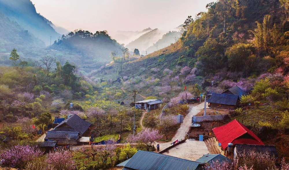 Thời điểm phù hợp để đi du lịch Sơn La bạn nên biết