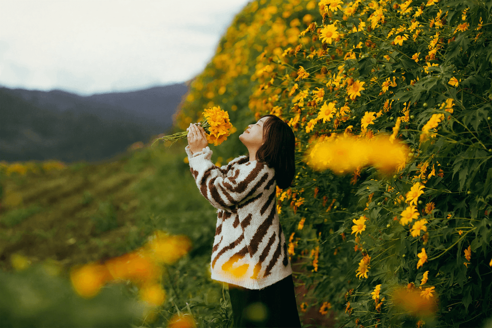 Tour du lịch Đà Lạt 1 ngày được nhiều người lựa chọn