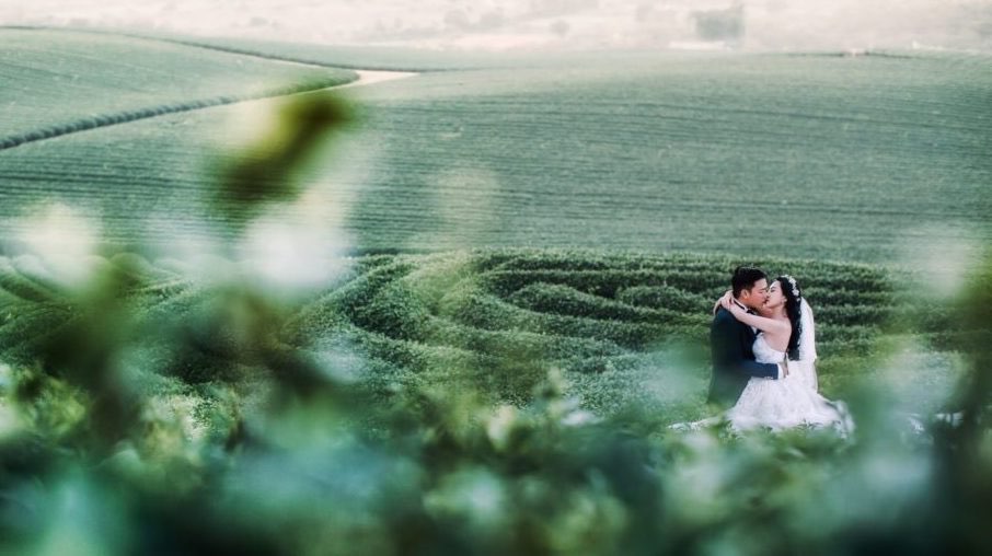 Không gian xanh mướt cho ảnh cưới trong trẻo