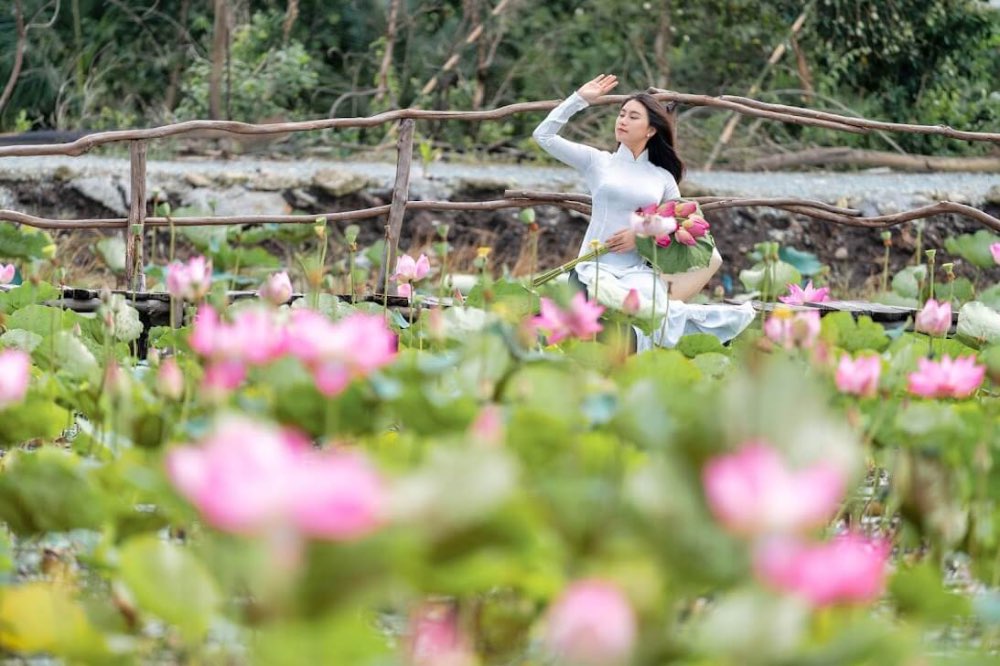 Đồng Tháp nổi tiếng với làng hoa Sa Đéc