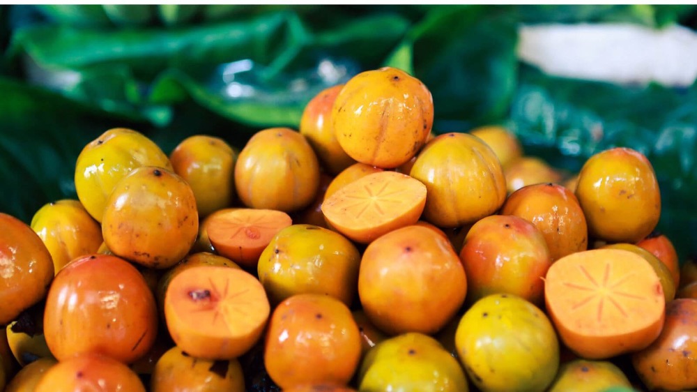 Hồng không hạt Quản Bạ nổi tiếng với hương vị thơm ngon