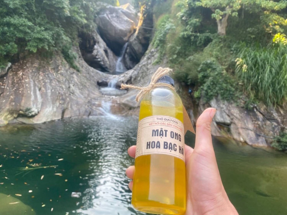 Mật ong hoa bạc hà rất tốt cho sức khỏe