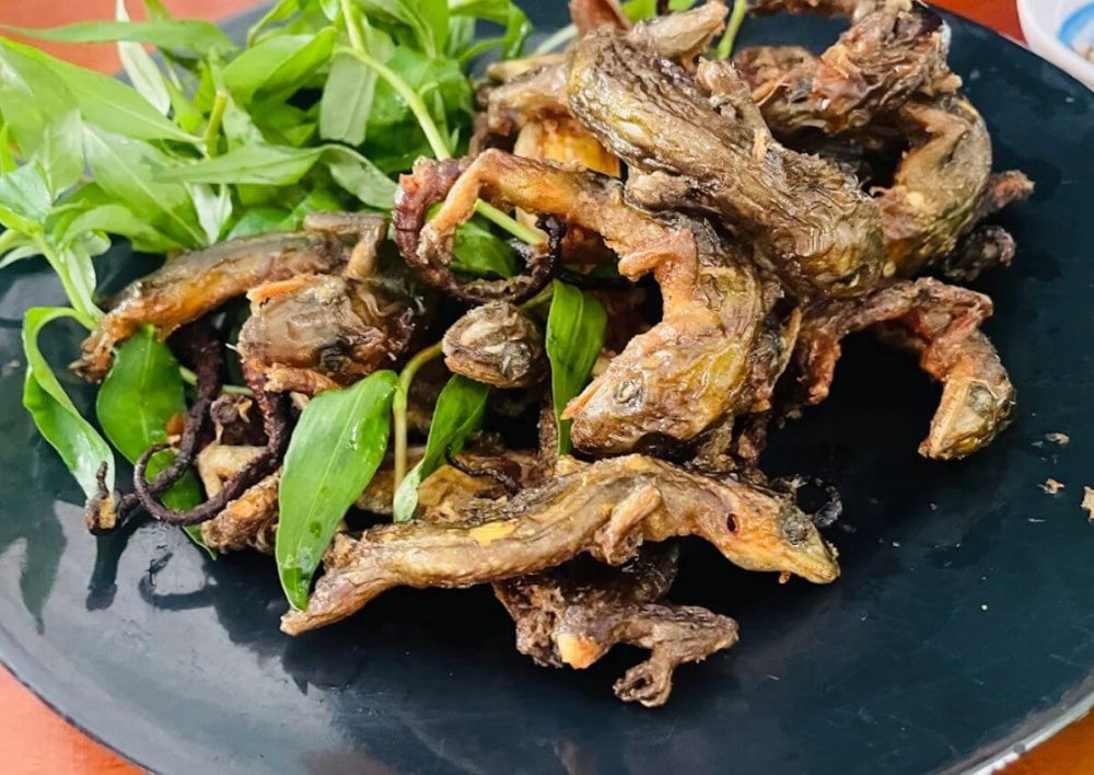 Thằn lằn núi Bà Đen là đặc sản độc lạ chỉ có ở Tây Ninh